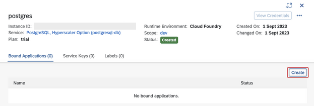 sap btp postrgres bound application