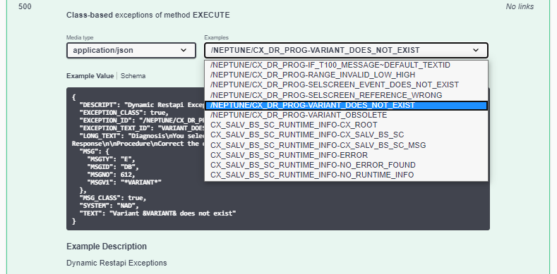 exceptionHandling Example Class OpenAPI